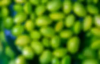 Snack Sehat, Ini 7 Manfaat Edamame Termasuk Cegah Kanker Payudara!