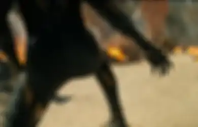 Black Panther: Wakanda Forever akan Mengakhiri Phase 4 Marvel Cinematic Universe!