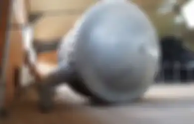 Bentuknya Malah Mirip Mobil Pintar Masa Kini, Inilah Senjata  Militer Super Aneh Ciptaan Nazi, Disebut Sangat Rapuh Sampai Langsung Hancur Digunakan Dalam Misi Apapun, Lalu Apa Gunanya?