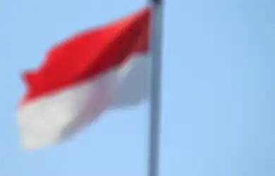 Inilah Negara yang Pertama Mengakui dan Mendukung Kemerdekaan Indonesia dari Belanda