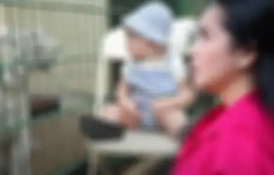 Nagita Slavina Sibuk Komat-kamit Lihat Rayyanza Sendirian di Kandang Harimau, Reaksi Adik Rafathar Saat Dihampiri Selen Peliharaan Alshad Ahmad Jadi Sorotan