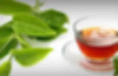 Sedikit yang Tahu, Ini 5 Manfaat Minum Teh Daun Jambu Biji Buat Tubuh!