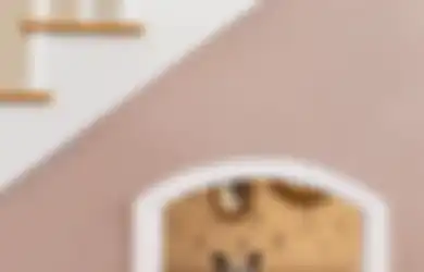 Tips Mendesain Area Khusus Hewan Peliharaan Berbulu di Rumah, Mudah!