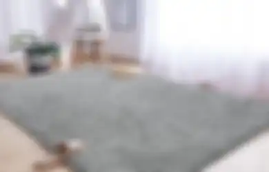 Pilih Karpet yang Tepat untuk Ruangan Anda dengan Panduan Berikut!