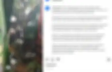 Renggut Nyawa 10 Orang Termasuk Anak-anak, Polisi Beberkan Alasan Insiden Kecelakaan Maut Truk Trailer Ini Terjadi, Warganet: Truk Segede Gaban Kenapa Operasi Siang