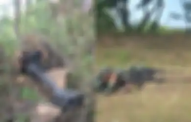 10 Sniper Terbaik dari Yonko 463 Kopasgat Siap Terlibat, Pasukan Khusus TNI AU Bakal PAM KTT G20 Bali, Asah Kemampuan Habis-habisan Demi Kuasai 3 Senjata Mematikan Ini