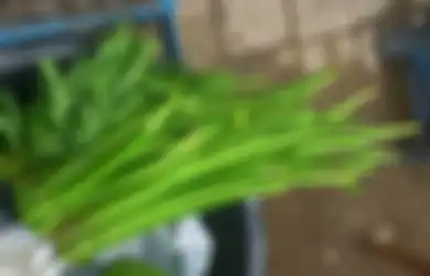 Obat Mujarab untuk Sembelit, Ketahui Sederet Manfaat Daun Genjer!