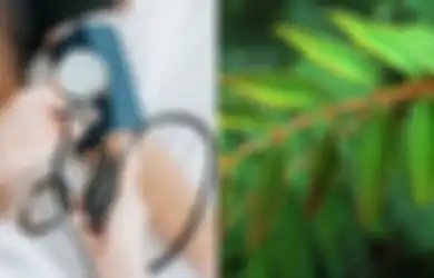 Berbagai Manfaat Tanaman Putri Malu, Bisa Obati Hipertensi