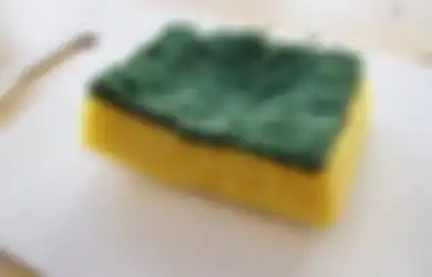 Rendam Spons Cuci Piring dengan Bumbu Dapur Ini Semalaman, yang Tadinya DEKIL Jadi Baru Lagi! Mau Coba?