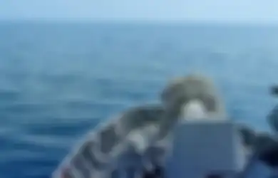 KRI REM-331 Meluncur, Meriam Oto Melara Super Rapid Gun 76/62 mm Ditembakkan di Perairan Australia, Ternyata Ini Sasaran yang Harus Dimusnahkan