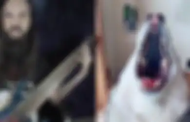 Gokil! Duet Sangar Antara Seekor Husky dan Gitaris Cadas Logan Young
