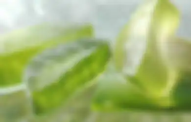 Asam Amino dan Mineralnya Tinggi, Lidah Buaya Terbukti Ampuh Buat Obati Asam Lambung Akut, Berikut Cara Olah dan Konsumsinya