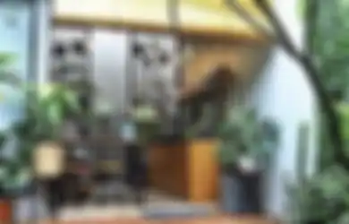 Sampai Adem Lihatnya, Ini 6 Desain Dapur Terbuka dengan Taman yang Bikin Aura Segar, Intip Foto Estetiknya