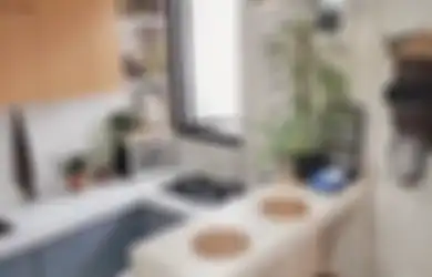 Menawan Hati! Inspirasi Desain Dapur Kecil Tapi Rapi Solusi Jitu Rumah Mungil, Ini 6 Foto Aestheticnya