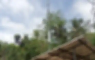 Proyek BTS 4G Jalan Terus, Ini Daftar Nama Satgas BTS BAKTI Pilihan Menkominfo