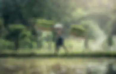 Para Petani Wajib Tahu, Berikut Doa Agar Panen Berlimpah Luah dari Rasulullah SAW, Hasil Bertani Dipenuhi Manfaat untuk Orang Banyak