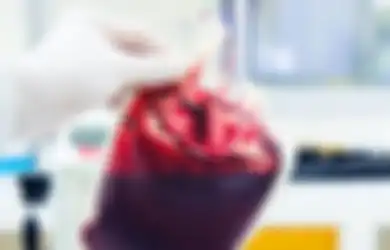 Langka! Golongan Darah Baru Er Ditemukan, Disebut Bisa Selamatkan Nyawa, Ini Faktanya!