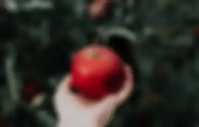 Asam Lambung Bikin Tersiksa, Ini 5 Buah yang Baik Dikonsumsi Penderita