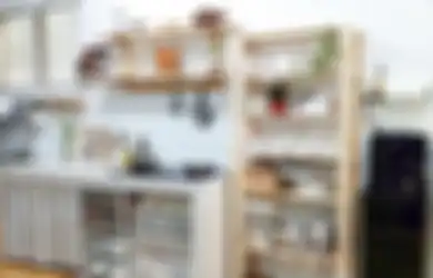 Dikira Mahal, Biaya Membuat Dapur Minimalis Cantik Nan Elegan Ini Ternyata Cuma Habis Segini, Foto Hasilnya Benar-benar Bikin Takjub!