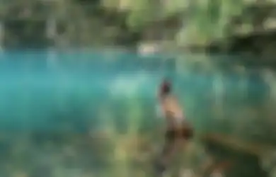 Dijamin Dapat Foto Instagramable, 7 Tempat Wisata Alam di Kuningan Jawa Barat Ini Wajib Masuk Rencana Liburan