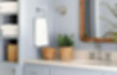Ikuti Tips Berikut untuk Menanam Tanaman di Kamar Mandi!