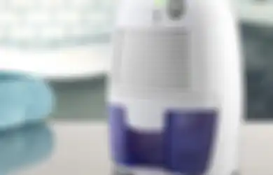 Ada Anggota Keluarga Anda yang Punya Alergi? Wajib Punya Dehumidifier di Rumah!