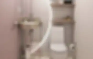 Dijamin Istri Kian Bahagia, Desain Kamar Mandi Sederhana Sulap Wajah Rumah Mungil Jadi Tampak Mewah, Begini 8 Foto Aestheticnya