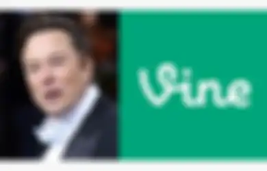 Setelah Beli Twitter, Elon Musk Ingin Bangkitkan Aplikasi Vine?
