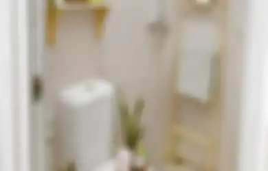 Nyelip di Ruang Sempit, Desain Toilet Minimalis Buru-buru Ditiru Ibu-Ibu Gegara Tampilan Begini, 9 Foto Inspirasinya Bikin Jatuh Hati