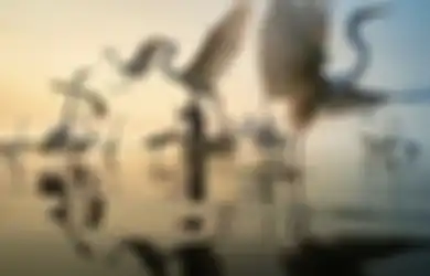 10 Cara Foto Jalanan yang Bisa Langsung Dicoba Sendiri, Mudah!