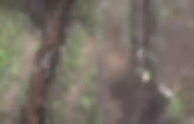 Aksi Gila Pasukan Rusia dengan Santainya Tiduran Sambil Tangkap Bom Aktif dari Drone Ukraina, Videonya Viral Buat Geger Banyak Orang