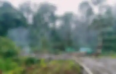 KKB Papua Sabet Pekerja hingga Tewas dan Bakar Kamp Tambang di Pegunungan Bintang, Polisi Akui Sudah Kantongi Kelompok OPM Penebar Teror di Distrik Awimbon