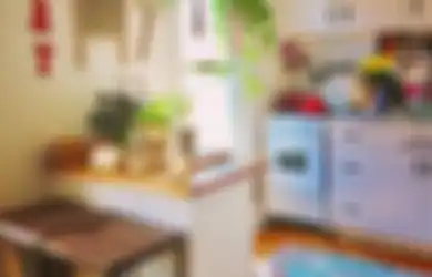 Masalah Area Masak Teratasi, Foto Desain Dapur Mungil Kian Segar, 7 Tanaman Hias Ini Jadi Solusi