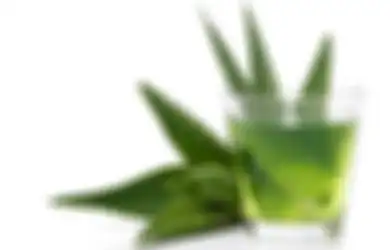 Lebih Efektif Dibanding Bahan Alternatif Lain, Lidah Buaya Nyatanya Bisa Kurangi Gejala Refluks Asam Lambung Naik, Ini Penjelasannya