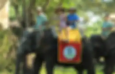 6 Rekomendasi Tempat Wisata untuk Libur Nataru Bersama Keluarga