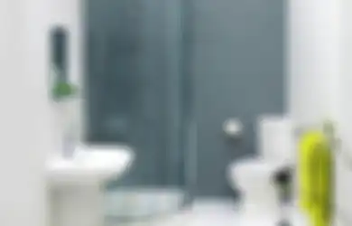 Tampilan Kamar Mandi Berubah Total, Dipasangi Wastafel Model Tak Biasa, Foto Hasilnya Bikin Melongo