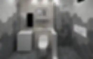 Desain Kamar Mandi Sederhana Terlihat Mewah Karena Elemen Dekorasi Khusus, Foto Interiornya Direkomendasi