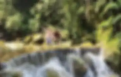 Foto Aestheticnya Banyak Dikomentari, Lembah Tepus Tempat Wisata Alam di Bogor Jadi Favorit Karena Alasan Ini