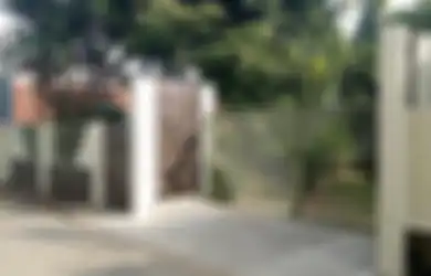 5 Tanaman Hias Ini Bawa Sial Jika Ditanam di Depan Rumah, Lihat Foto Penampakannya