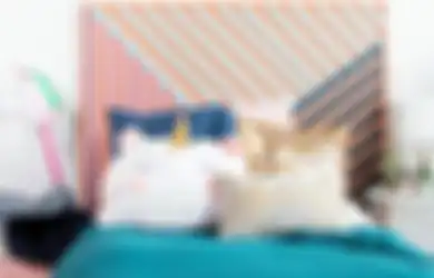 Perhatikan Pilihan Headboard Tempat Tidur Anak Anda, Ikuti Tips Berikut!