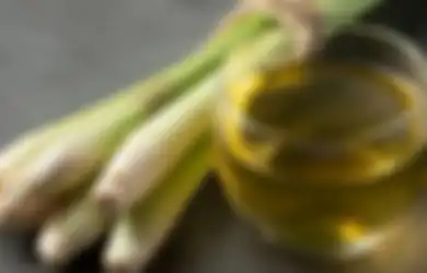 Bisa Bikin Asam Lambung Langsung Reda, Dua Bahan Herbal Alami Ini Bisa Atasi Maag Kambuh saat Puasa, Simak Cara Raciknya Sekarang Juga