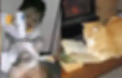 2 Weton yang Suka Memelihara Kucing, Sampai Dianggap Anak Sendiri!