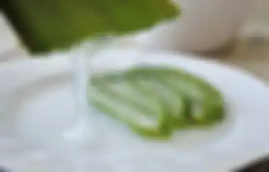 Bisa Jadi Obat Potensial Asam Lambung Kronis, Jus Lidah Buaya Tak Bisa Diminum Sesuka Hati Karena Ada Racunnya, Begini Cara Menghilangkannya