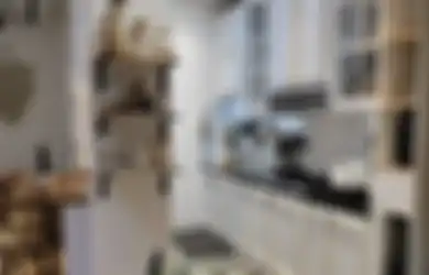 Foto Interior Rumah Minimalis Beda dari Lainnya, Desain Dapur Basah Direnovasi Pakai Gaya Tak Biasa