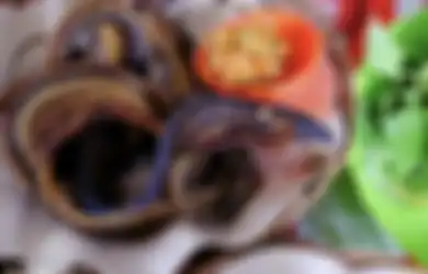 Cari Sarapan Enak di Jogja yang Hits, 6 Tempat Wisata Kuliner Ini Selalu Ramai, Intip Foto Menunya