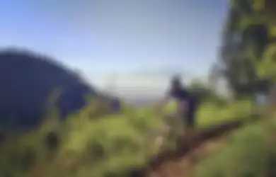 Cara Ke Tempat Wisata Alam Hits di Bondowoso Jawa Timur, Banyak Lokasi Foto Aesthetic