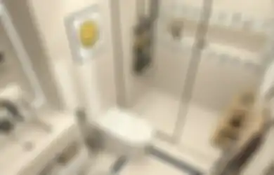 Belum Banyak Tahu, Begini Cara Bikin Adem Kamar Mandi Mungil, Foto Hasil Renovasinya Jadi Referensi
