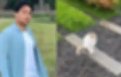Ridwan Kamil Selipkan Pesan Khusus, Heboh Kucing Misterius Betah Tunggui Makam Eril Meski Tak Ada yang Mengurus, Netizen: MasyaAllah Seneng Banget