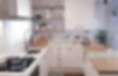 Pantes Banyak Ditiru, Ini yang Bikin Foto Dapur Mungil Bebas dari Kecoak dan Tikus