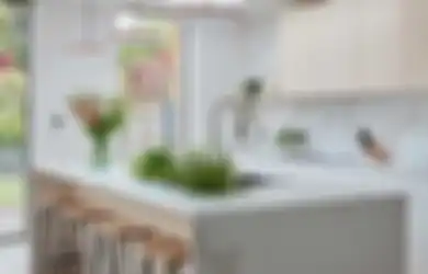 Awalnya Coba-coba, Ternyata Miliki Kebun Sayur Mini di Dapur Miliki Banyak Manfaat Tak Terduga!